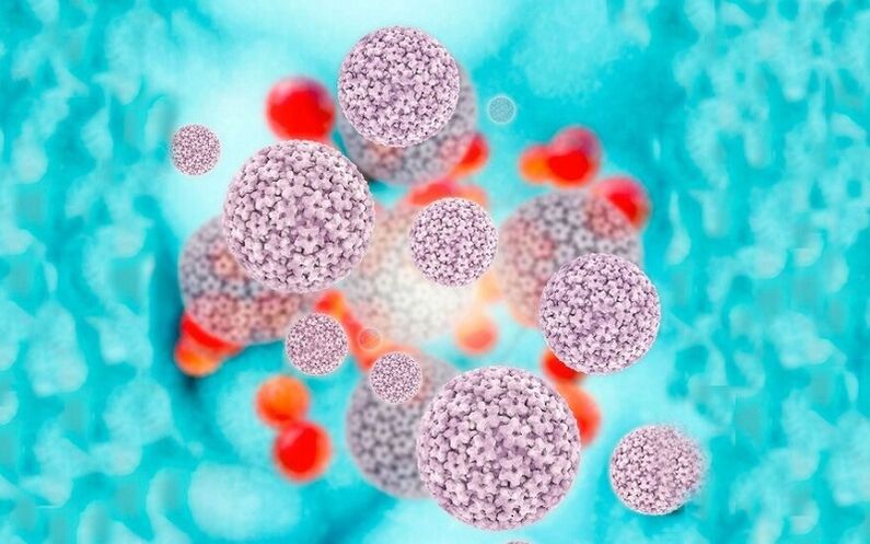 humaan papillomavirus dat papillomen op de schaamlippen veroorzaakt