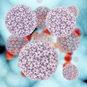moleculen van het humaan papillomavirus