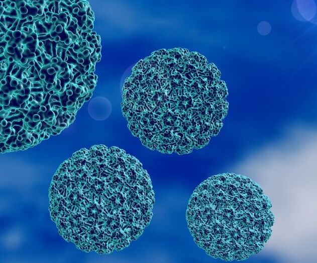 3D-model van HPV dat hielwratten veroorzaakt